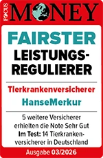 Siegel Focus Money 2026 - Fairster Leistungsregulierer