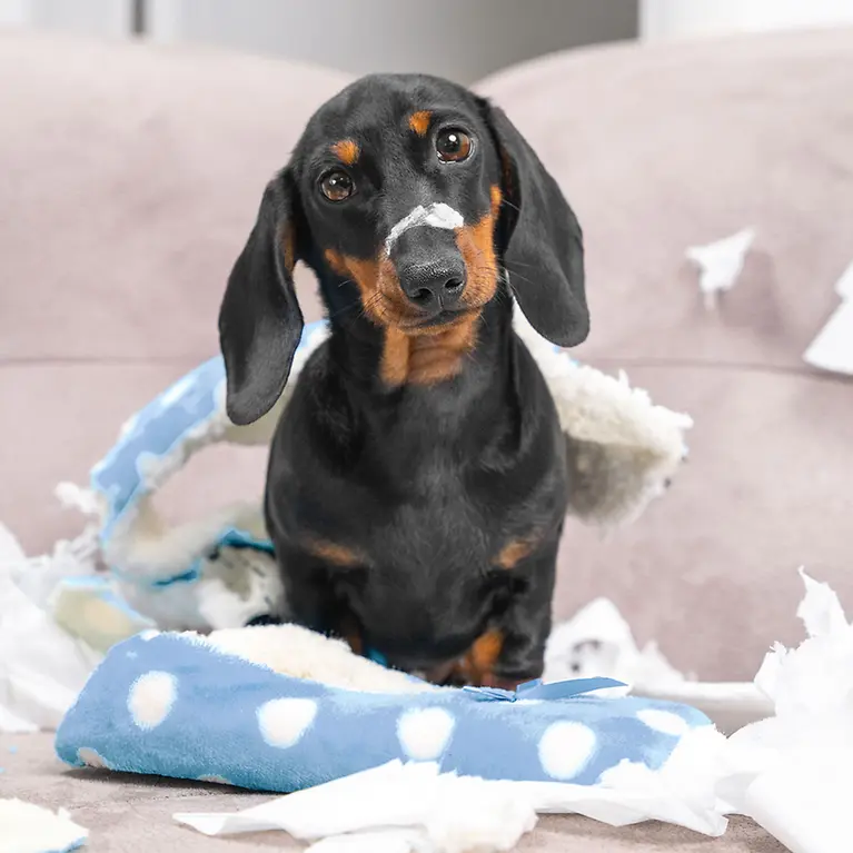 iStock-1294120863