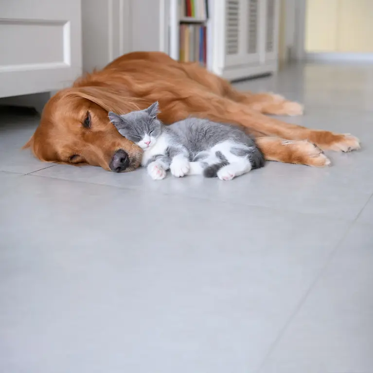 IST_1034210872_rgb_preview-2